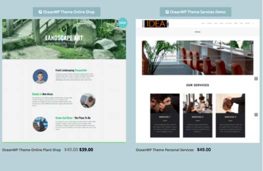 Fast Fix Web Design Adds New eCommerce and New Services $49 Websites